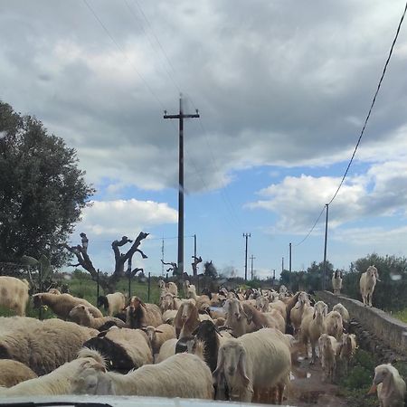 Trullo Contrada Stracca Vendégház Alliste Kültér fotó
