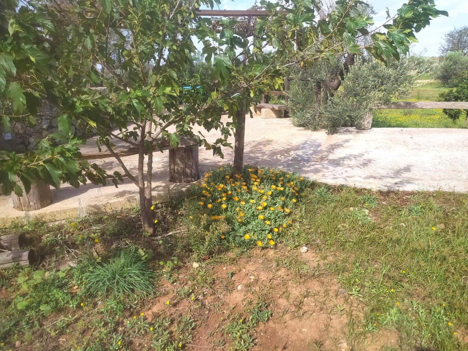 Trullo Contrada Stracca Vendégház Alliste Kültér fotó